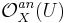  \mathcal O_X^{an}(U) 