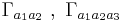  \Gamma_{a_1 a_2} ~,~ \Gamma_{a_1 a_2 a_3}