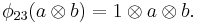 \phi_{23}(a \otimes b) = 1 \otimes a \otimes b.