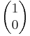 \begin{pmatrix} 1 \\ 0 \end{pmatrix}