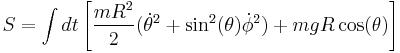 S=\int dt \left[\frac{mR^2}{2}(\dot{\theta}^2%2B\sin^2(\theta)\dot{\phi}^2)%2BmgR\cos(\theta)\right]