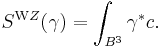 S^{\mathrm WZ}(\gamma) = \int_{B^3} \gamma^{*} c.