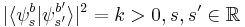  |\langle \psi_s^b | \psi_{s'}^{b'}  \rangle|^2 = k>0, s,s'\in \mathbb{R} 