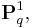 \mathbf{P}_q^1,