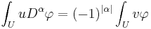 \int_U u D^{\alpha} \varphi=(-1)^{|\alpha|} \int_U v\varphi