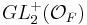 GL_2^%2B(\mathcal O_F)