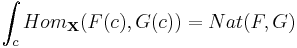 \int_c Hom_{\mathbf{X}}(F(c), G(c)) = Nat(F, G) 