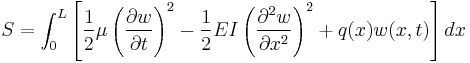  
  S = \int_0^L \left[ \frac{1}{2} \mu \left( \frac{\partial w}{\partial t} \right)^2 - \frac{1}{2} EI \left( \frac{ \partial^2 w}{\partial x^2} \right)^2 %2B q(x) w(x,t)\right] dx
