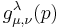 g^\lambda_{\mu,\nu}(p)