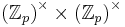 \left( \mathbb{Z}_{p} \right)^\times \times \left(\mathbb{Z}_p\right)^\times