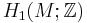 H_1(M;\mathbb{Z})