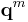 \mathbf{q}^m 