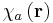 \chi_{a} \left(\mathbf{r}\right)