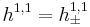 h^{1,1} = h^{1,1}_{\pm}