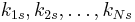 k_{1s}, k_{2s}, \dots, k_{Ns}