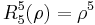  R^5_5(\rho) = \rho^5 \,