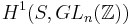 H^1(S, GL_n(\mathbb{Z}))