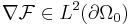 \nabla \mathcal{F} \in L^2(\partial \Omega_0)