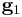 \mathbf{g}_1