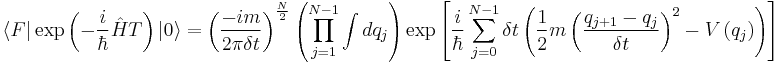 
   \langle F | \exp\left( {- {i \over \hbar } \hat H T} \right) |0\rangle =
\left( {-i m \over 2\pi \delta t } \right)^{N\over 2} 
\left( \prod_{j=1}^{N-1} \int dq_j \right)
\exp\left[ {i\over \hbar} \sum_{j=0}^{N-1} \delta t \left( {1\over 2} m \left( {q_{j%2B1}-q_j \over \delta t } \right)^2 - 
 V \left( q_j \right)   \right) \right]
 