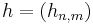 \ h = (h_{n,m})