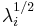 \lambda_i^ {1/2}