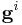 \mathbf{g}^i