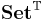 \bold{Set}^{\mathbb{T}}