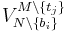 V^{M \setminus \{t_j\}}_{N \setminus \{b_i\}}