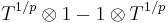 T^{1/p}\otimes1-1\otimes T^{1/p}