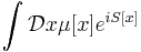 \int \mathcal{D}x \mu[x] e^{iS[x]}