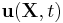 \mathbf u(\mathbf X, t)\,\!