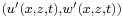 \scriptstyle (u'(x,z,t),w'(x,z,t))