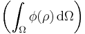 \left(\int_{\Omega} \phi(\rho) \, \mathrm{d}\Omega\right)