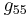 g_{55}