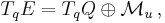 T_qE=T_qQ\oplus \mathcal M_u\,,