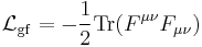 \ \mathcal{L}_\mathrm{gf} = - \frac{1}{2} \operatorname{Tr}(F^{\mu \nu} F_{\mu \nu}) 