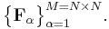\big\{\mathbf{F}_{\alpha}\big\}_{\alpha=1}^{M=N\times{N}}.