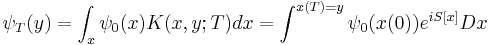 
\psi_T(y) = \int_{x} \psi_0(x) K(x,y;T) dx = \int^{x(T)=y} \psi_0(x(0)) e^{i S[x]} Dx
\,