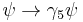 \psi\rightarrow\gamma_5\psi