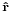 \scriptstyle \mathbf{\hat{r}}