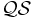 \mathcal{QS}