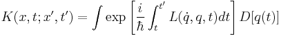 K(x,t;x',t') = \int \exp \left[\frac{i}{\hbar} \int_t^{t'} L(\dot{q},q,t) dt\right] D[q(t)]