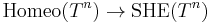 \mathrm{Homeo}(T^n) \to \mathrm{SHE}(T^n)