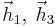 \vec{h}_1, \; \vec{h}_3