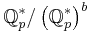 \mathbb{Q}_p^*/\left(\mathbb{Q}_p^*\right)^b