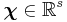 \boldsymbol\chi \in \mathbb{R}^s