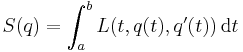 \displaystyle S(q) = \int_a^b L(t,q(t),q'(t))\, \mathrm{d}t