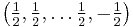 \bigl(\tfrac12,\tfrac12, \ldots\tfrac12, -\tfrac12\bigr)