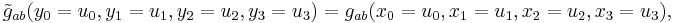  \tilde{g}_{ab} (y_0=u_0,y_1=u_1, y_2=u_2, y_3=u_3) = g_{ab}
(x_0=u_0,x_1=u_1, x_2=u_2 , x_3=u_3), 